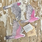 Bridget Farmer | Wall Decorations | Galahs | Set of 3